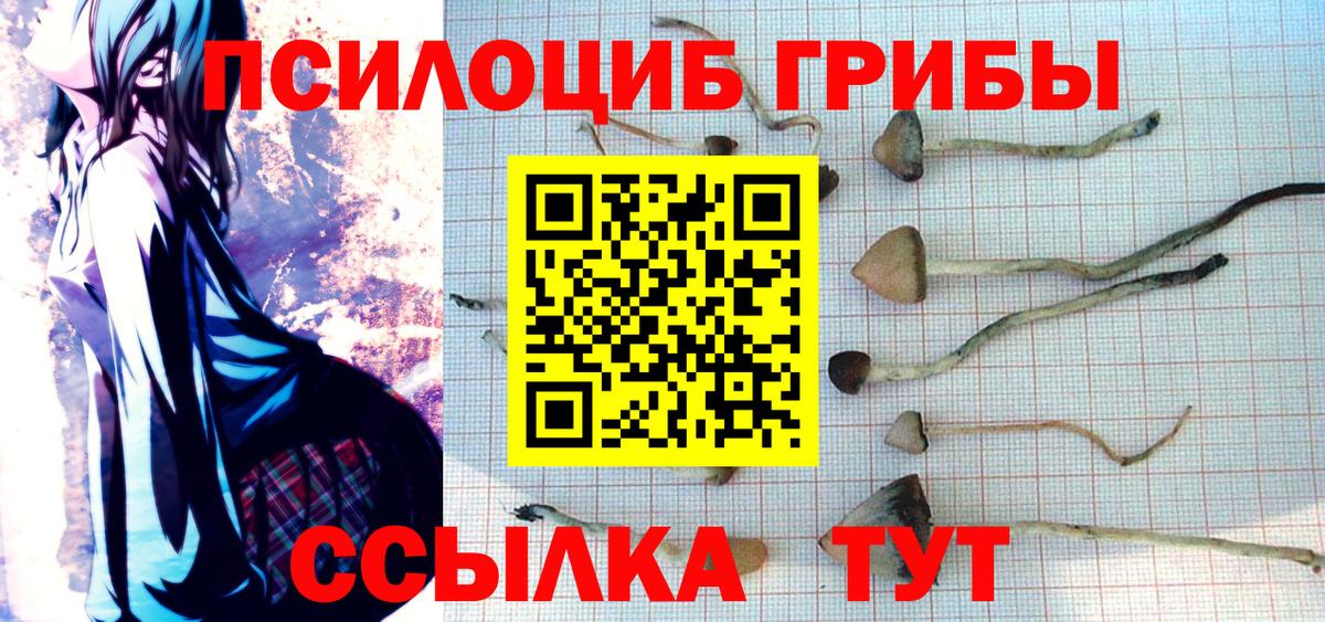 Псилоцибиновые грибы мицелий  Вход с VPN  Ялуторовск 